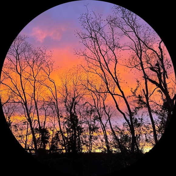 Meet your Posher, Jaxon - Picture 1 of 1